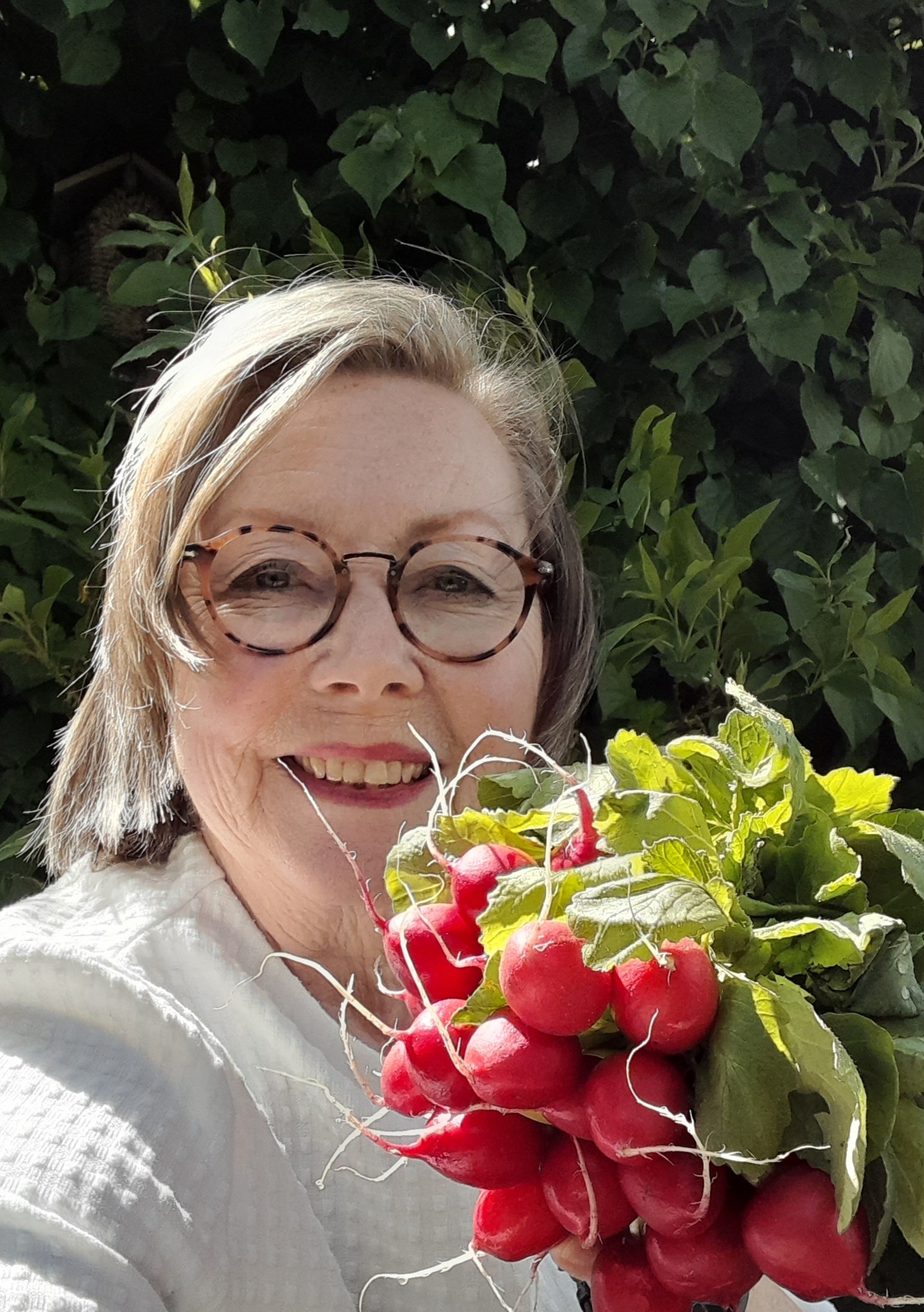 Radijsjes en hormonen